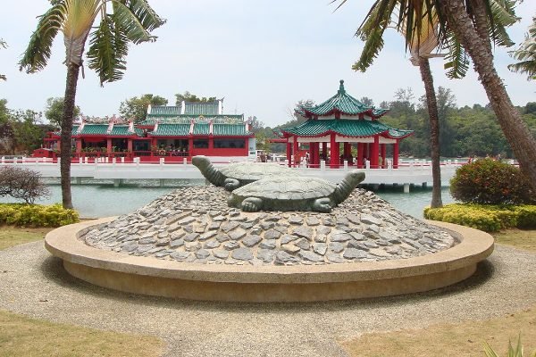 Die Marmorschildkröte auf Kusu Island